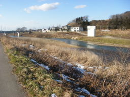 toyonari1