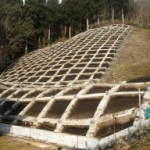 yuzawa-sekiguchi7